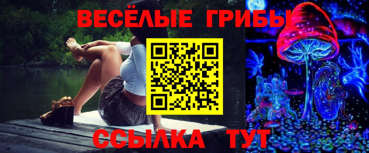 Ишим  продажа наркотиков  Вход с VPN  Галлюциногенные грибы Psilocybine cubensis 