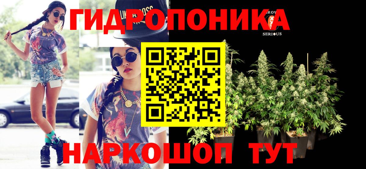 Бошки Шишки ГИДРОПОН  Вход с VPN  Бошки марихуана VHQ  Канабис SATIVA & INDICA  Ишим  Бошки марихуана THC 21% 