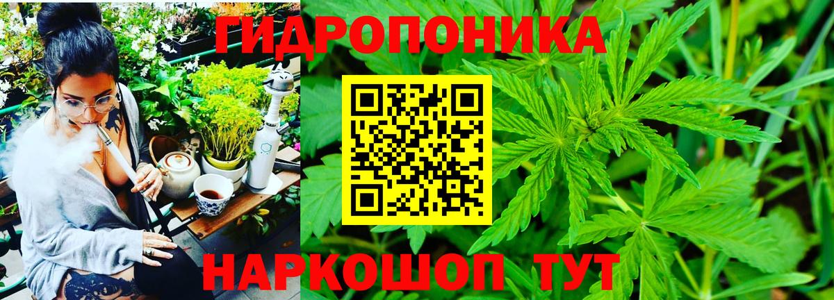 Бошки Шишки конопля Ишим